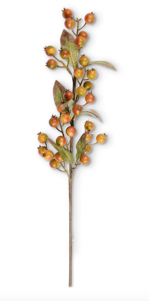 Orange Cranberry Stem