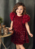 Sequin and Velvet with Tulle Sleeves Dress