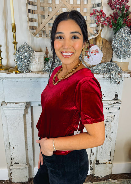 Aimee Scoop Neck Velvet Top