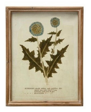 Wood Framed Glass Wall Décor w/ Botanical, Multi Color