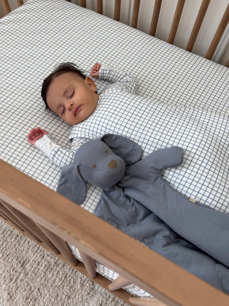 Checkmate Transitional Sleep Bag (3-6 Months) 1.0 TOG