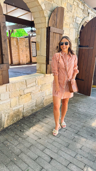 Aditi Terracotta Dress