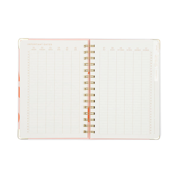 13 Mo Perpetual Planner - Plans