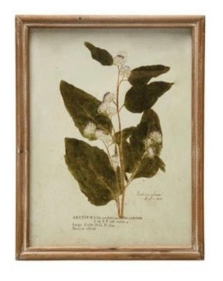 Wood Framed Glass Wall Décor w/ Botanical, Multi Color