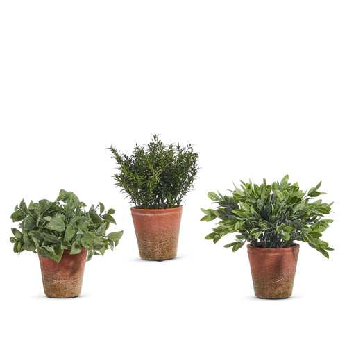 Soft Touch Potted Plants