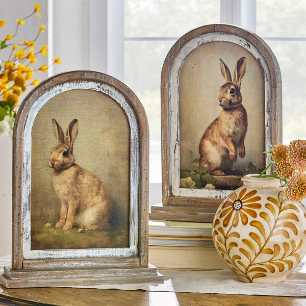 Vintage Rabbit Framed Print