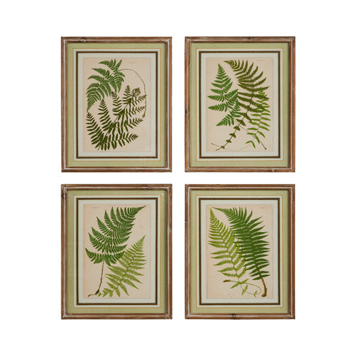 Fern Framed Wall Art