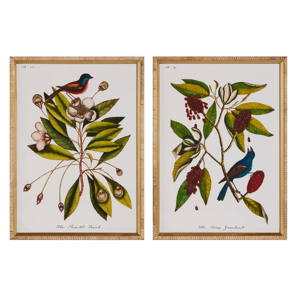 Nestled in Nature Wall Art