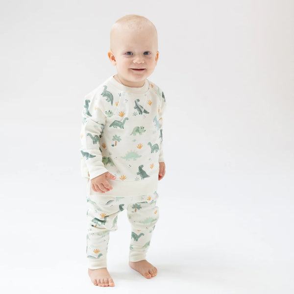 Green Soft Dinos Raglan Sweatshirt & Joggers Set