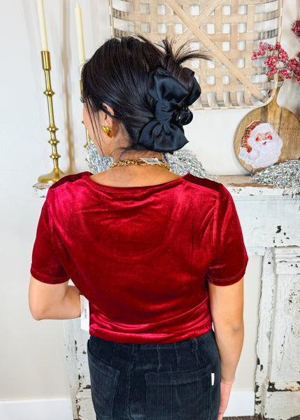 Aimee Scoop Neck Velvet Top