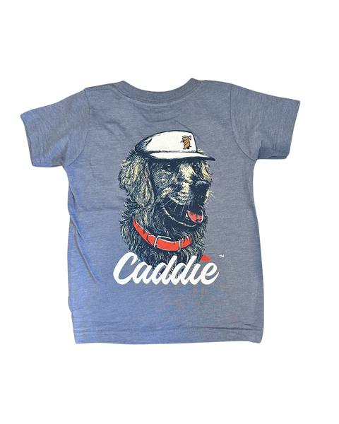 Caddie Retriever Pro Graphic Tee in Chalky Mint