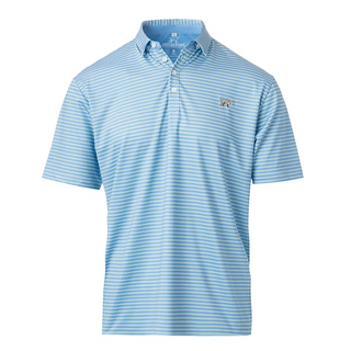 Carlisle Polo in Blue & Green