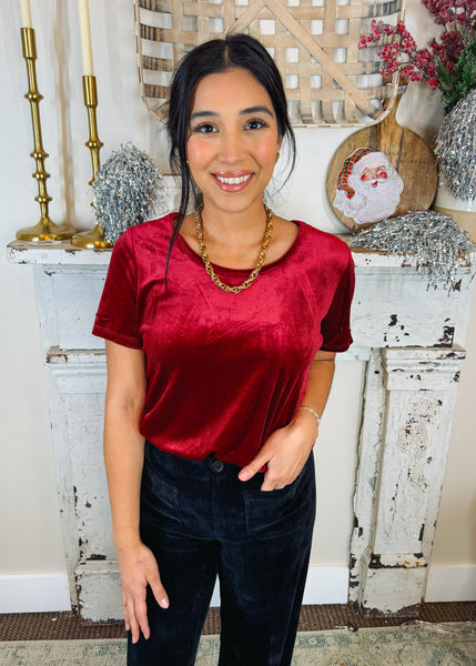 Aimee Scoop Neck Velvet Top