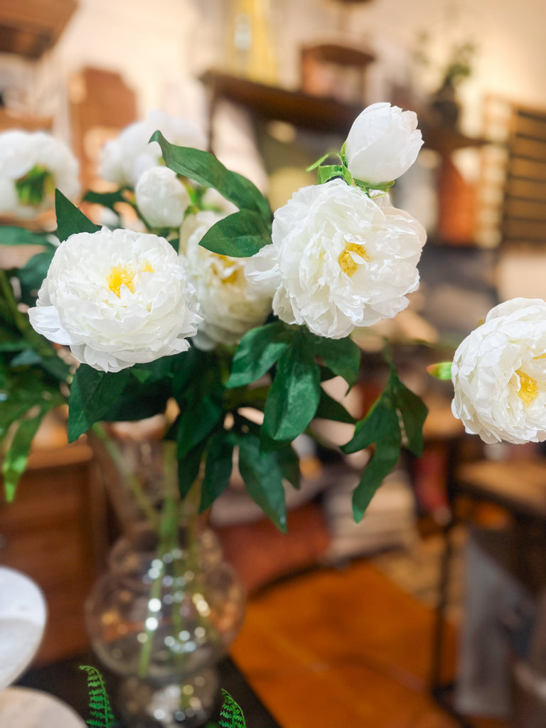 3 White flower stems