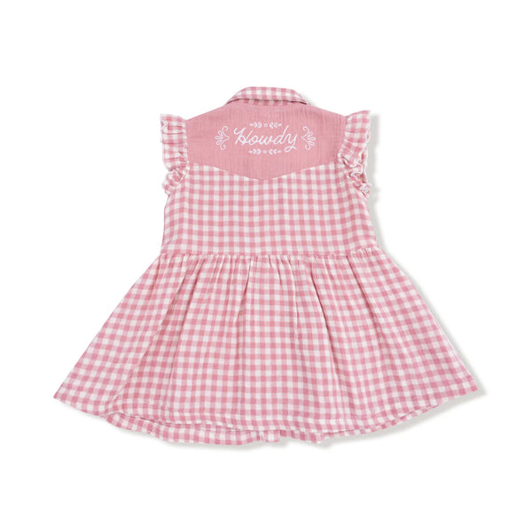 Howdy Western Dress in Rose Pink Plaid