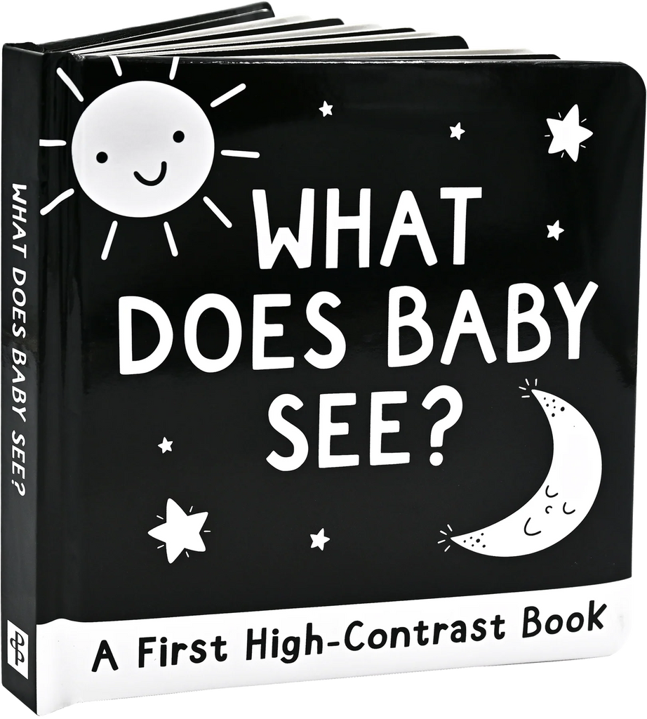 What Does Baby See? A First High Contrast Board Book