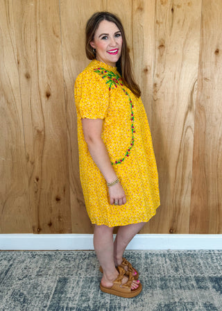 Sunny Daisy Dress