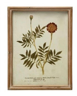 Wood Framed Glass Wall Décor w/ Botanical, Multi Color