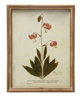 Wood Framed Glass Wall Décor w/ Botanical, Multi Color