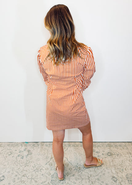 Aditi Terracotta Dress