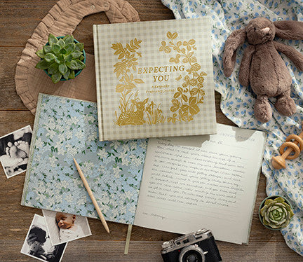 Expecting You: A Pregnancy Journal Book
