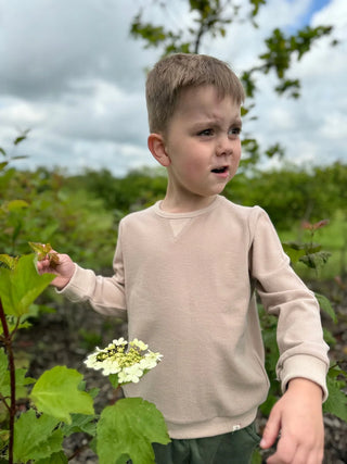 Tarquin Sweatshirt in Tan Cosy