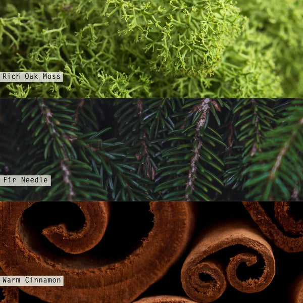 Balsam & Cedar Trio Gift Set