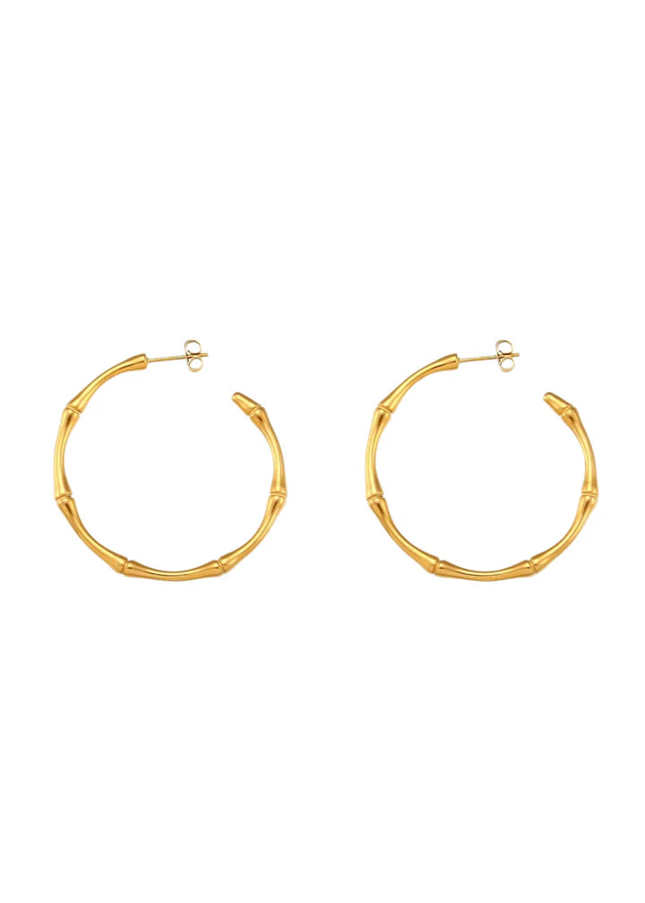 Bailey Hoops