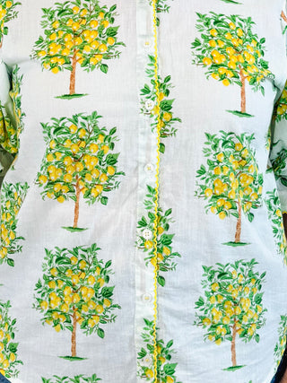 Lemon Tree Top