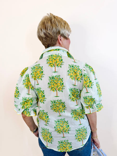 Lemon Tree Top