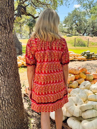 Velvet Ribbon Trimmed Dress