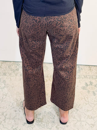 Lasso in Leopard