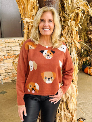 Pooch Sweater Top