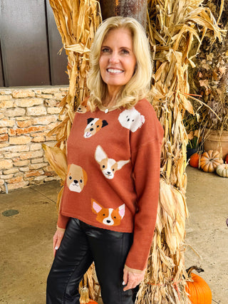 Pooch Sweater Top