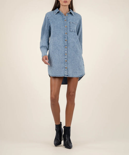 Rooney Denim Shirt Dress