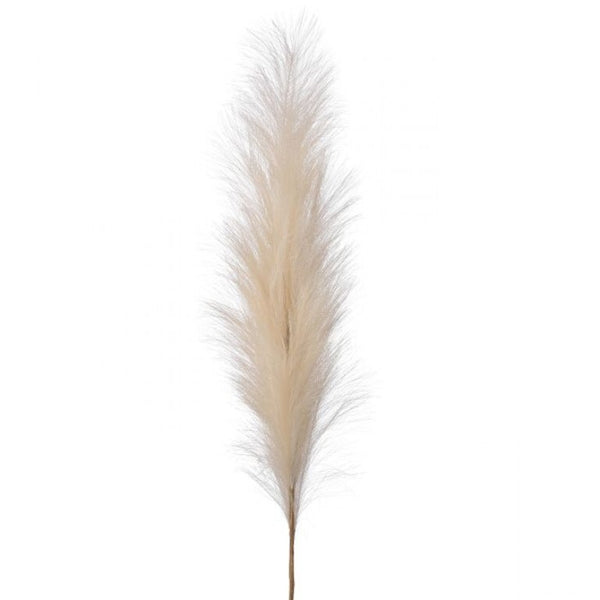 Pampas Plume 40"