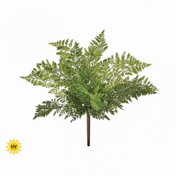 UV PRF NAt Touch Lady Fern Bush