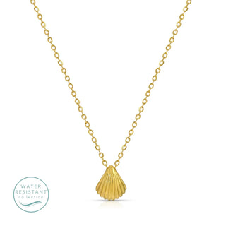 Scallop Charm Necklace with Chain Running Through