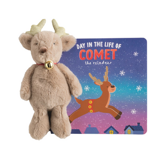 Day in the Life of Comet