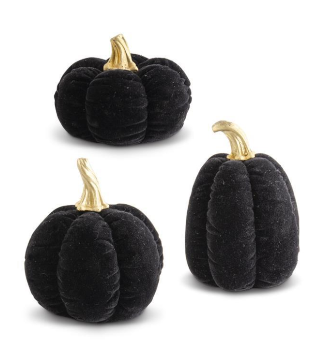 Black Velvet Pumpkins with Gold Stems