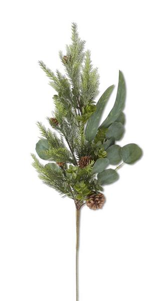 Mixed Eucalyptus Stem w/Pinecones