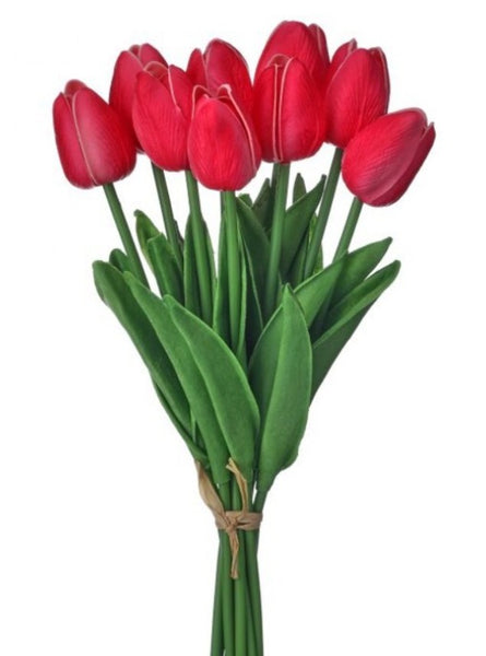 13" EVA Dutch Tulip Bundle (Hot Pink or White)