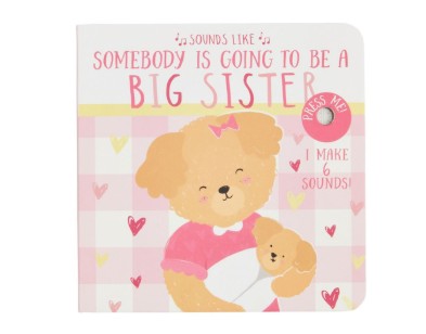 Sounds Like... Big Brother or Sister Book