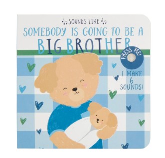 Sounds Like... Big Brother or Sister Book