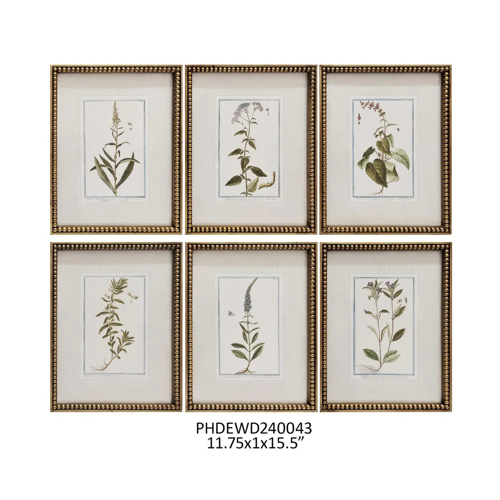 Botanique Collection Framed Prints