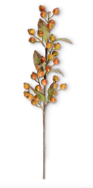 Orange Cranberry Stem
