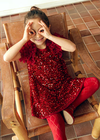 Sequin and Velvet with Tulle Sleeves Dress