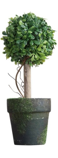 Faux Topiary in Pot