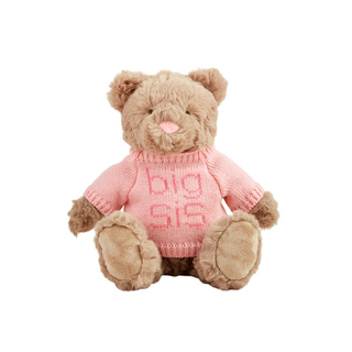 "Big Sis" Older Sister Bear Plush