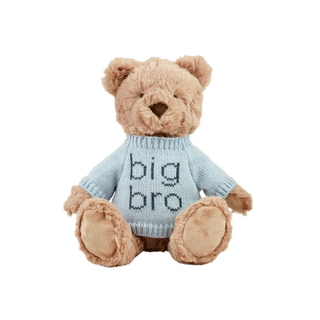 "Big Bro" Older Brother Bear Plush